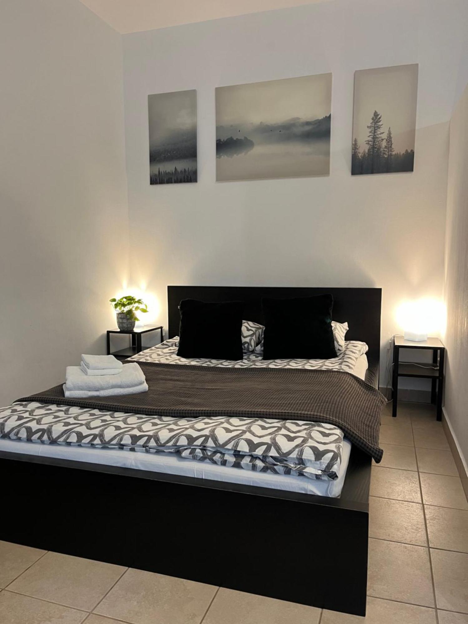Downtown Rose Garden Apartments Whit Garage Opcional Budapeszt Zewnętrze zdjęcie